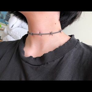 Dalmata: The barbed wire chain chocker in Nickel